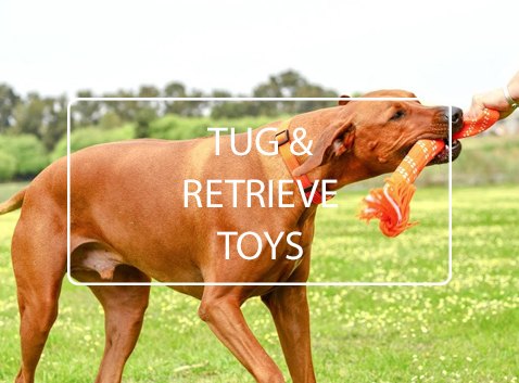 KONG™ with Rope, Fetch & Tug Dog Toy