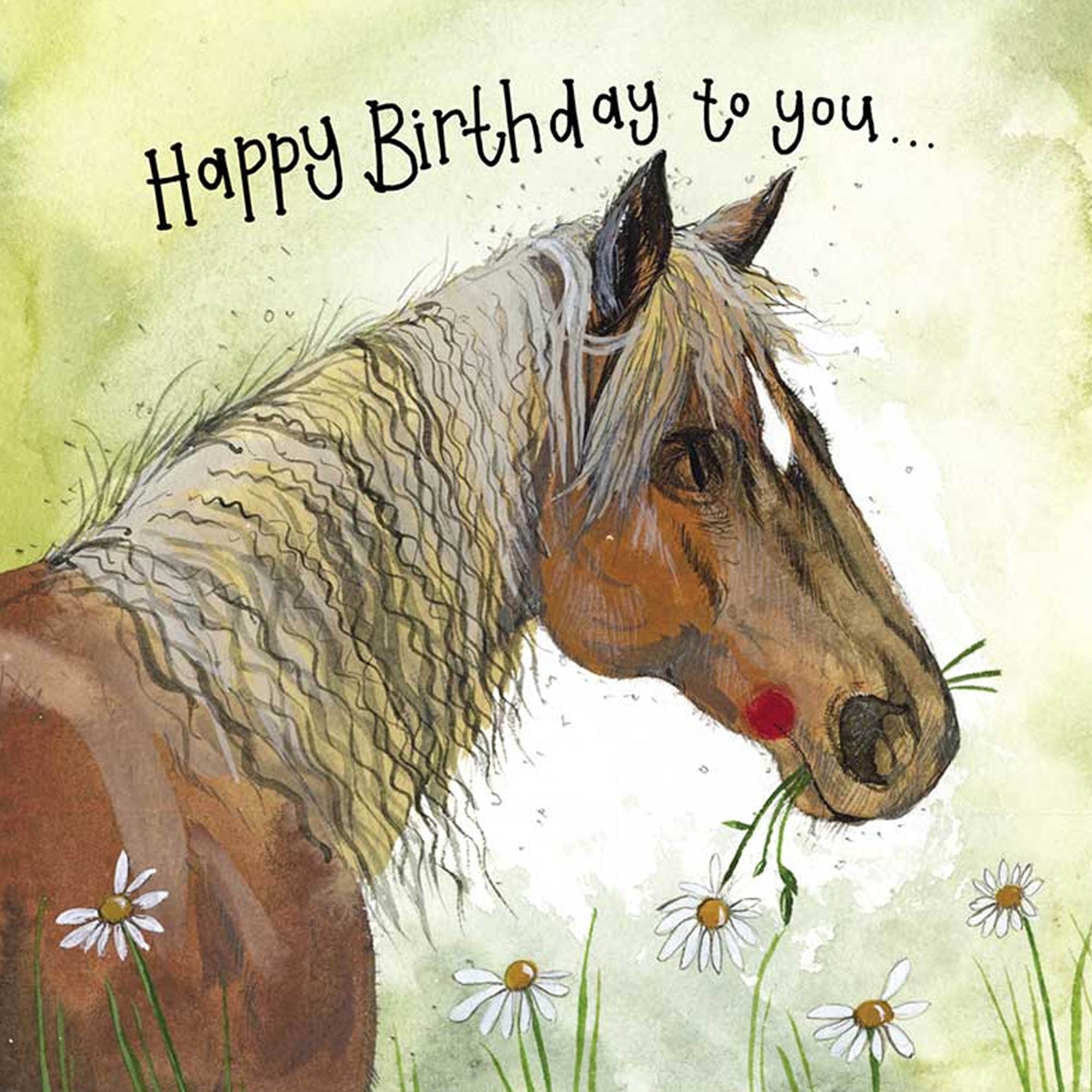 Alex Clark Sunshine Horse Birthday Card - Townfields Saddlers