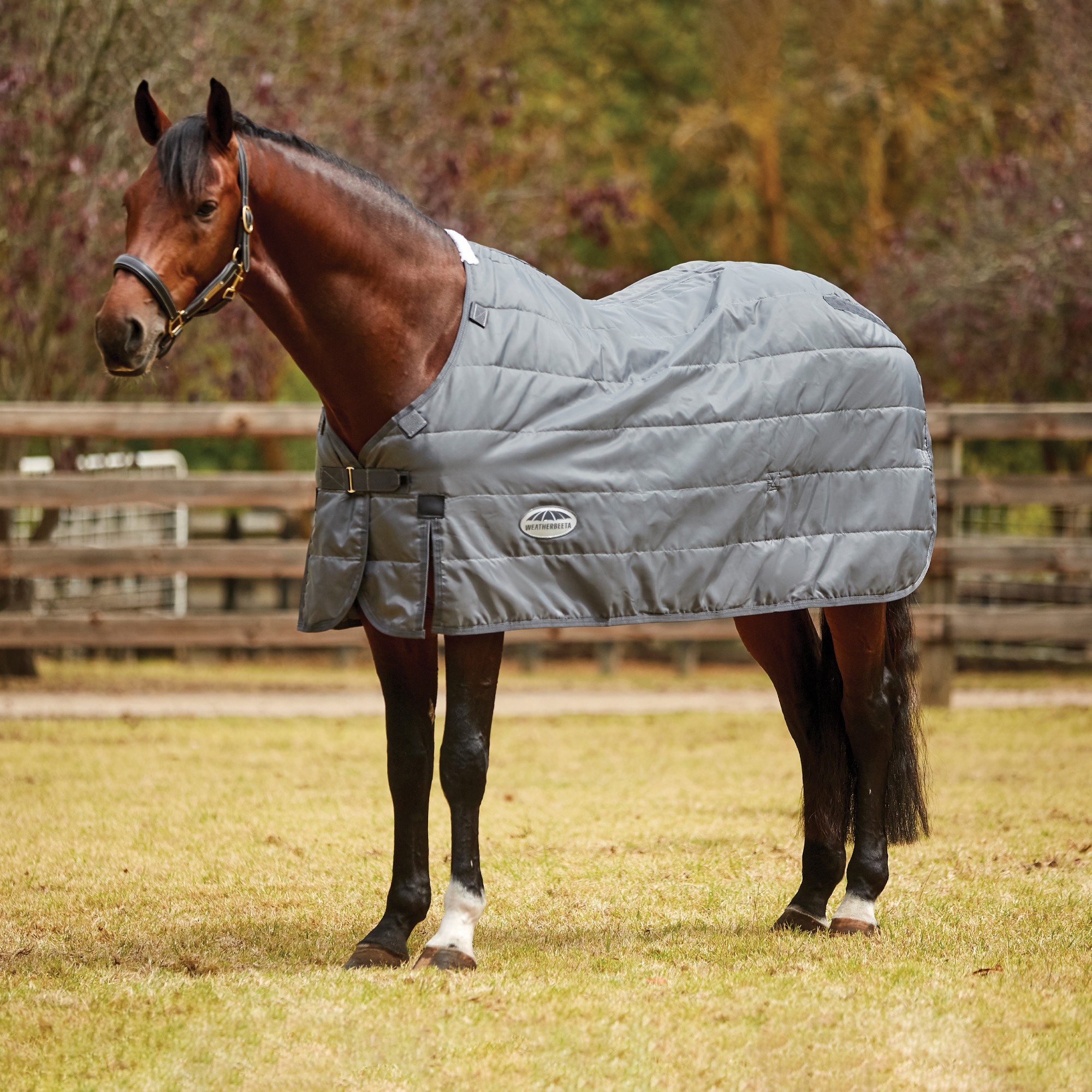 weatherbeeta-horse-rugs-weatherbeeta-comfitec-liner-medium-lite