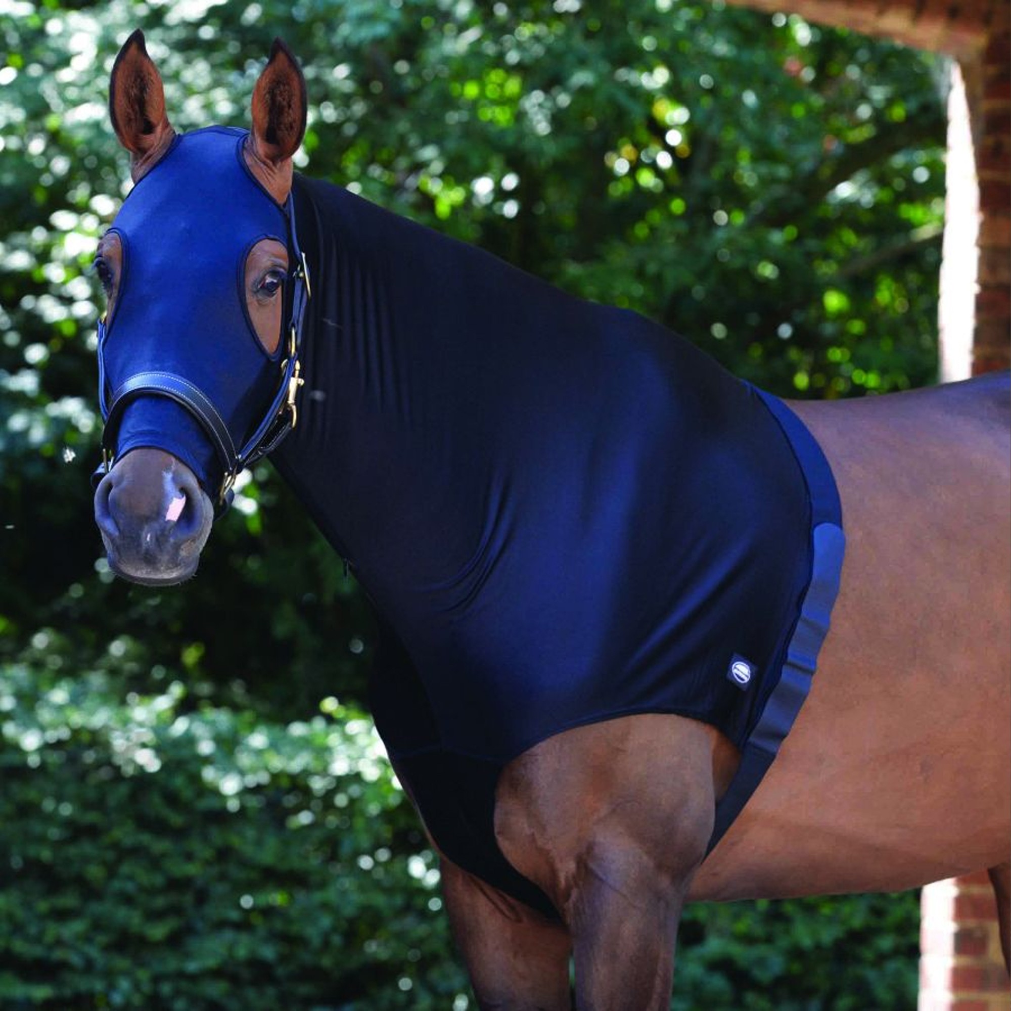 weatherbeeta-horse-rugs-weatherbeeta-stretch-horse-hood-with-zip-black