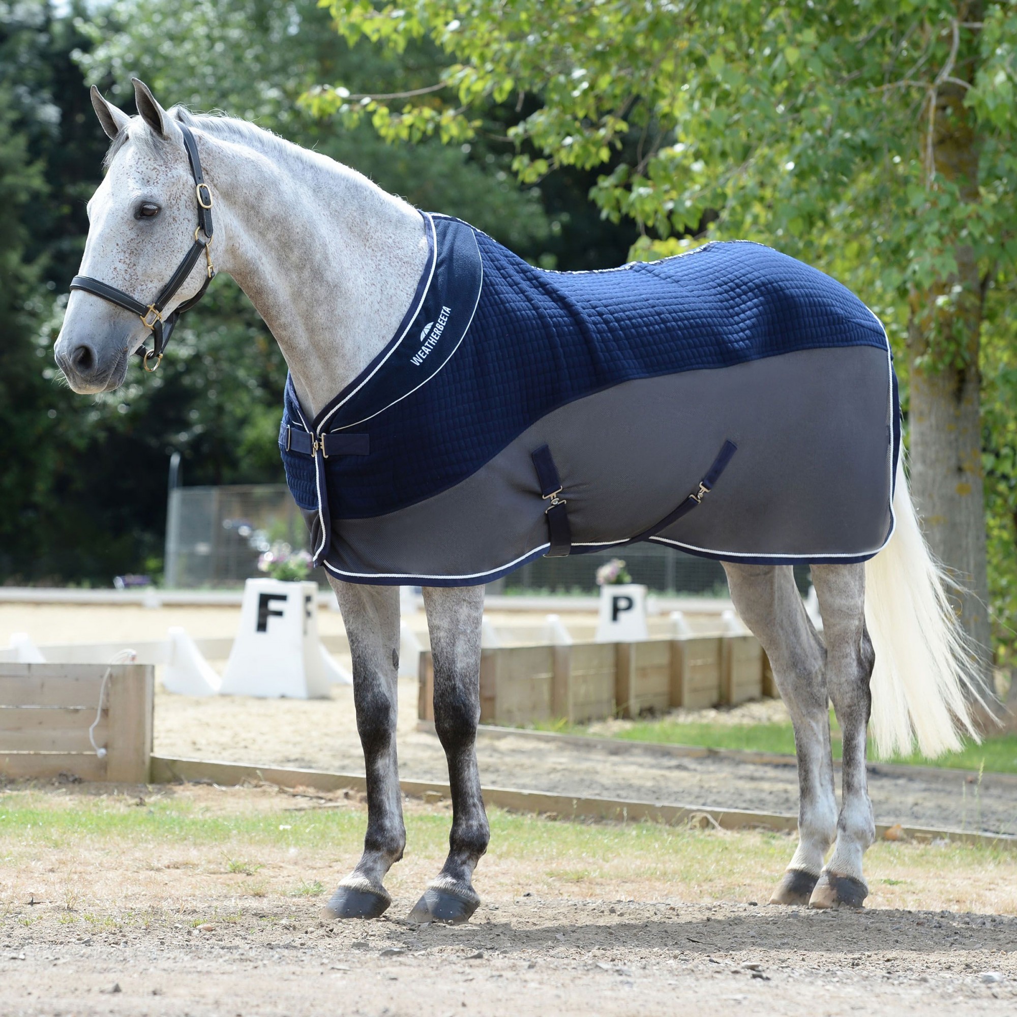 Weatherbeeta Horse Rugs Weatherbeeta Thermo-Air Cooler Navy/Grey ...