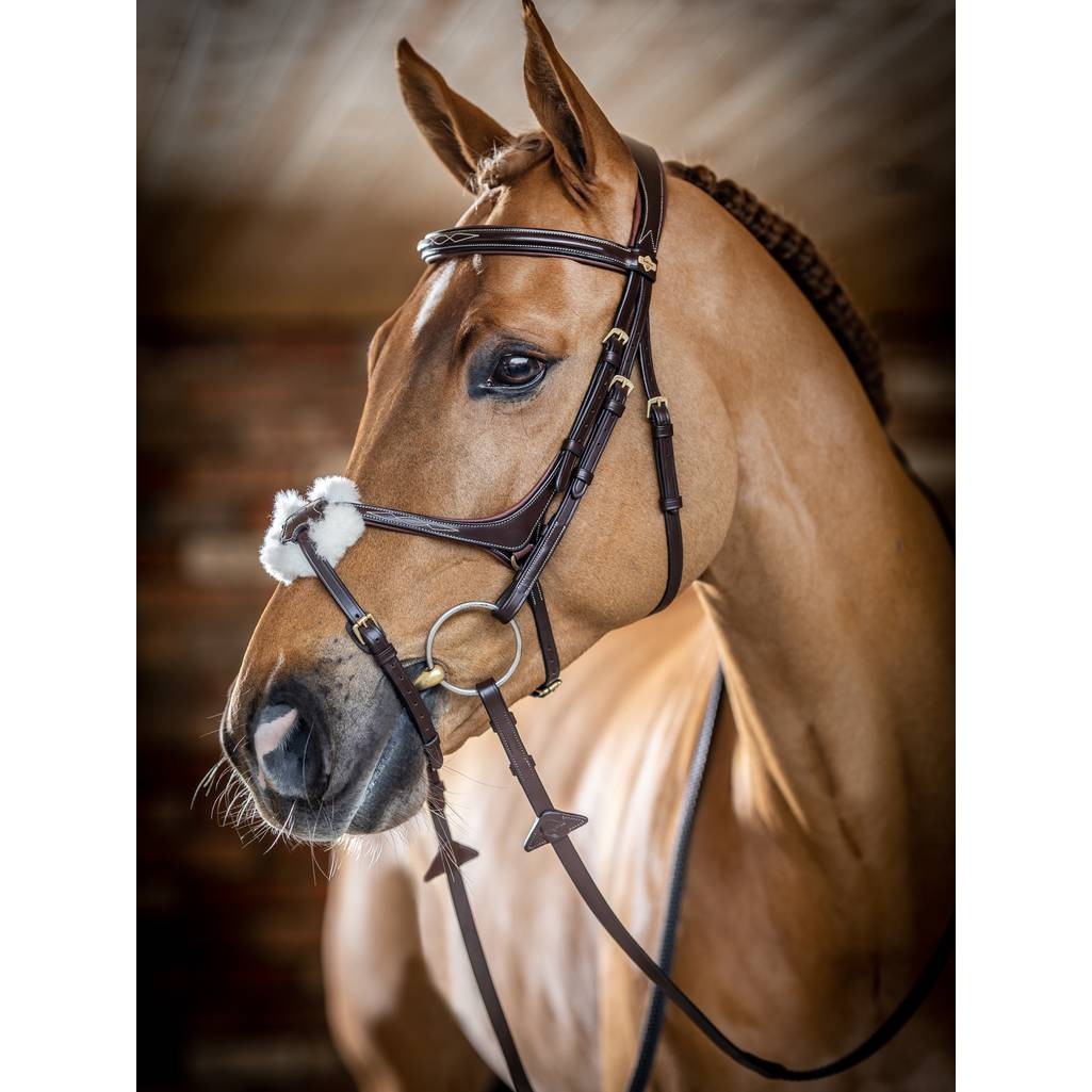 LeMieux Kudos Grackle Bridle - Townfields Saddlers