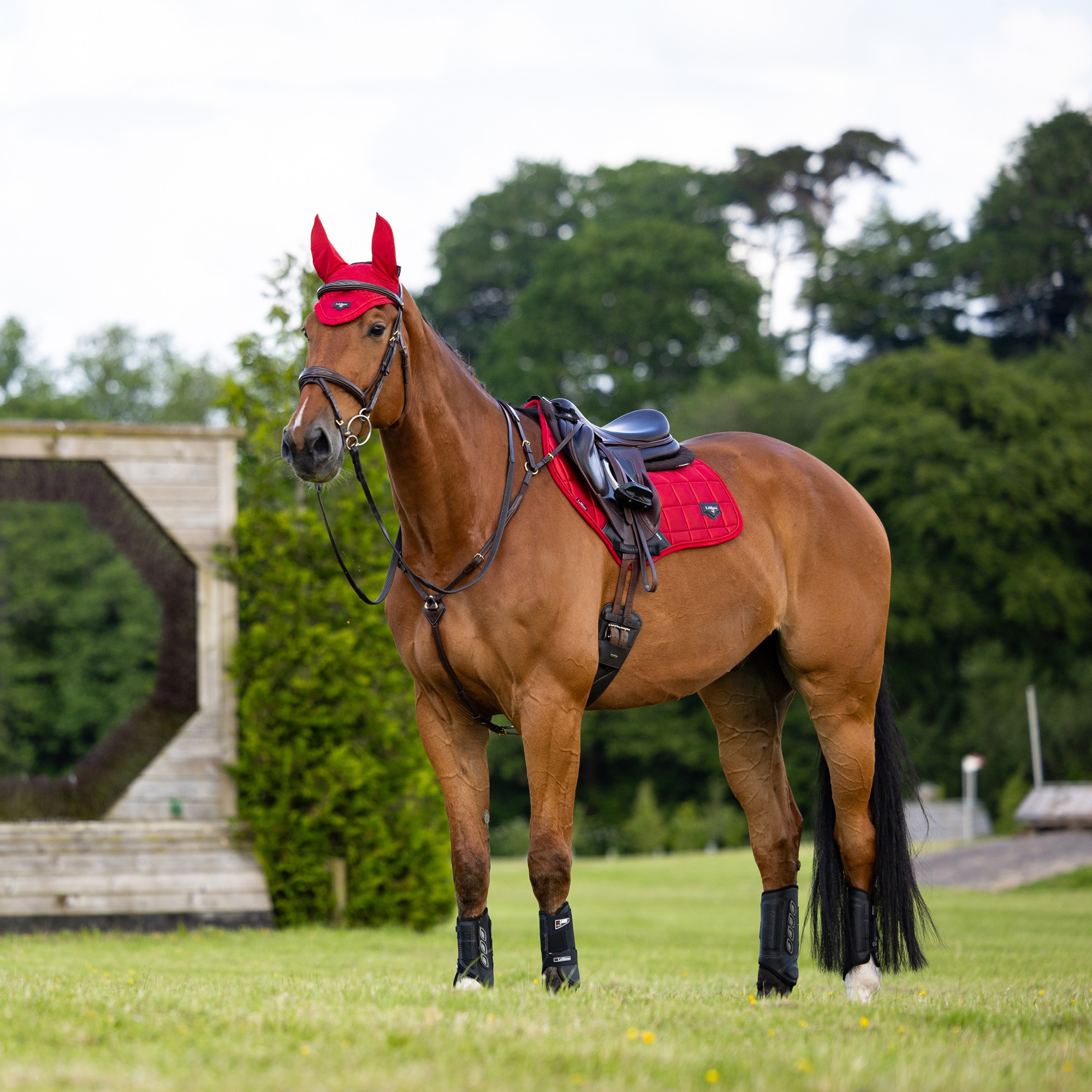 LeMieux Loire Close Contact Square Chilli Red - Townfields Saddlers