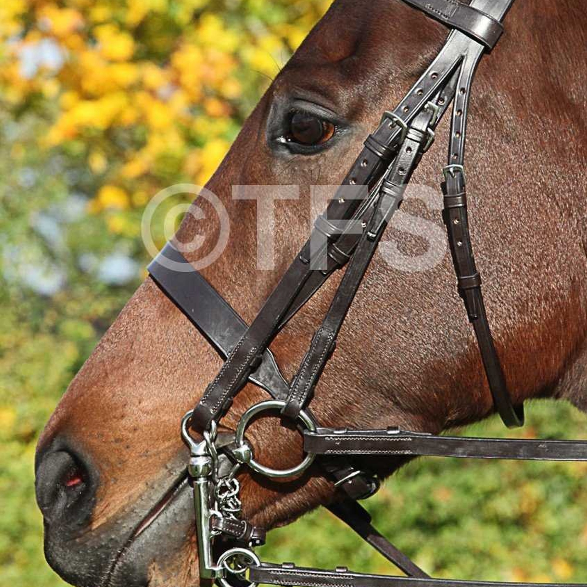 Townfields Flat Nose Weymouth Bridle - Townfields Saddlers