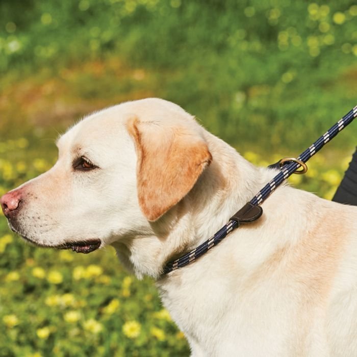 Weatherbeeta Rope Leather Slip Dog Lead - Townfields Saddlers