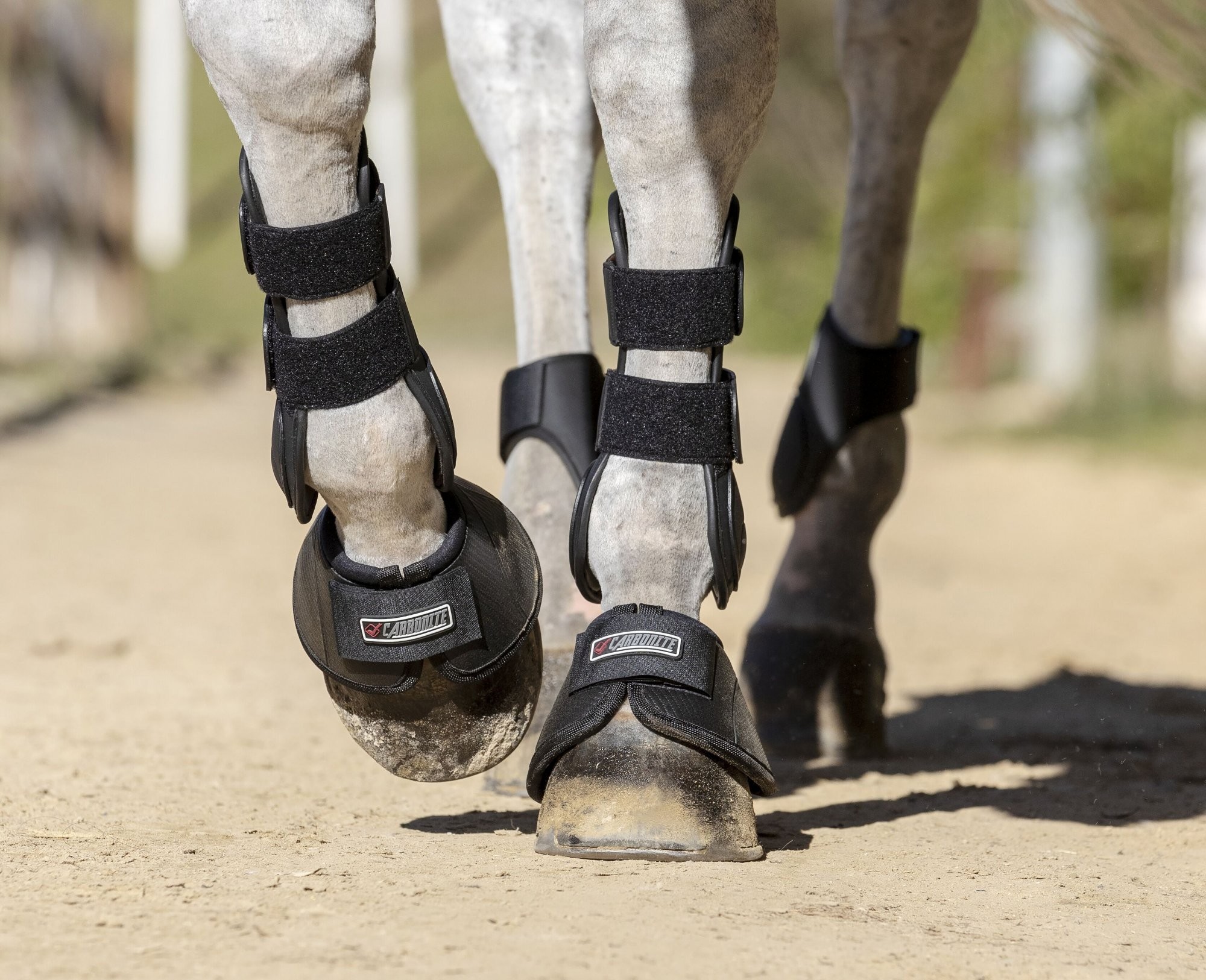 Best splint boots hot sale for horses