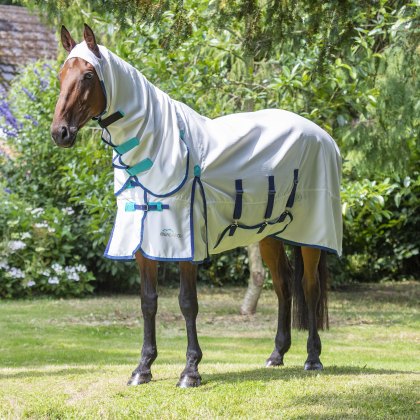 Shires Highlander Plus Sweet-itch Combo Rug