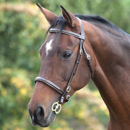 In hand bridles and accessories - Townfields Saddlers