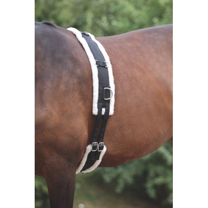 Shires Nylon Lunge Roller with Fleece Padding 