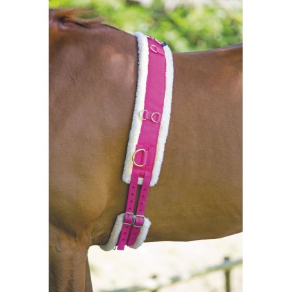 Shires Nylon Lunge Roller with Fleece Padding 