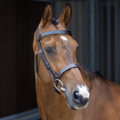 Velociti Lusso Hunter Cavesson Bridle - Townfields Saddlers