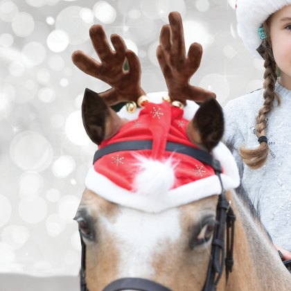 Equetech Santas Hat Snowflake Horse Bonnet