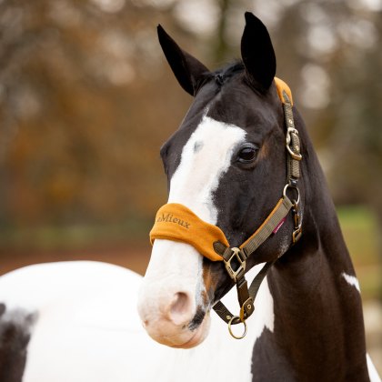 LeMieux Vogue Headcollar Alpine