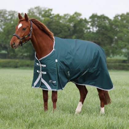 Shires Highlander Original 300 Turnout Rug Green 