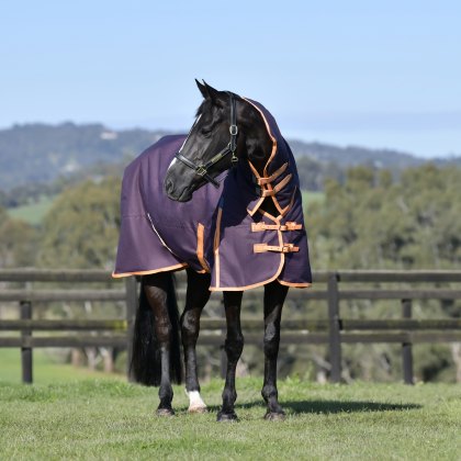 Weatherbeeta Comfitec Essential Combo Heavy Turnout Rug Plum