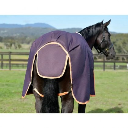 Weatherbeeta Comfitec Essential Combo Medium Turnout Rug Plum