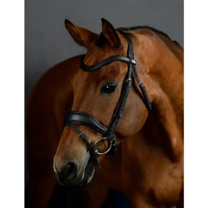 Collegiate Comfitec Opulux Padded Dressage Bridle Black