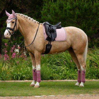 LeMieux Suede Dressage Square Blossom