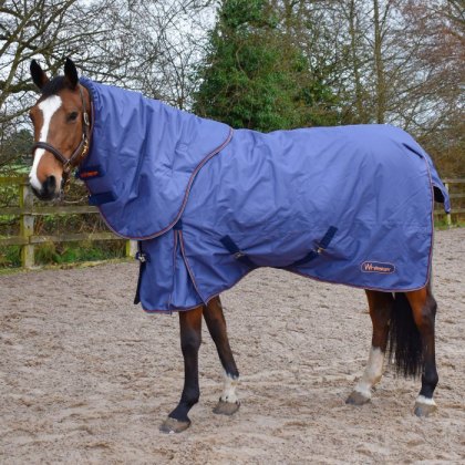 John Whitaker Aster 150gm Combo Turnout Rug