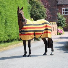 Shires Tempest Original Newmarket Fleece Rug