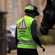 Shires EQUI-FLECTOR Safety Vest Adults