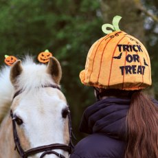 Equetech Wicked Pumpkin Hat Silk