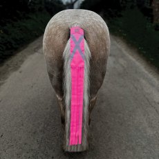 Equetech Vision HI-Vis Horse Tail Tassels