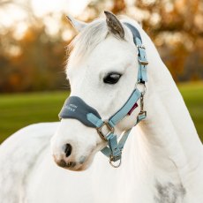 Lemieux Mini Vogue Headcollar Glacier