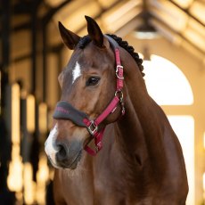 LeMieux Vogue Headcollar Ember