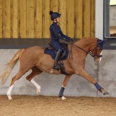 Aubrion Eltar Base Layer Navy