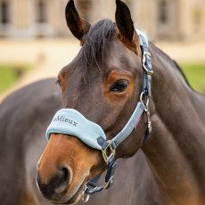 LeMieux Vogue Headcollar Petrol