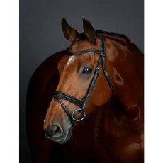 Collegiate Comfitec Opulux Plain Padded Hanoverian Flash Bridle Black