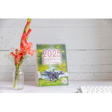 Emily Cole 2025 Desk Calendar