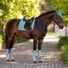 LeMieux Suede Dressage  Square Lagoon