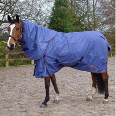 John Whitaker Aster 150gm Combo Turnout Rug