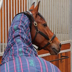 Shires Tempest Plus 100 Combo Stable Rug Navy Tartan