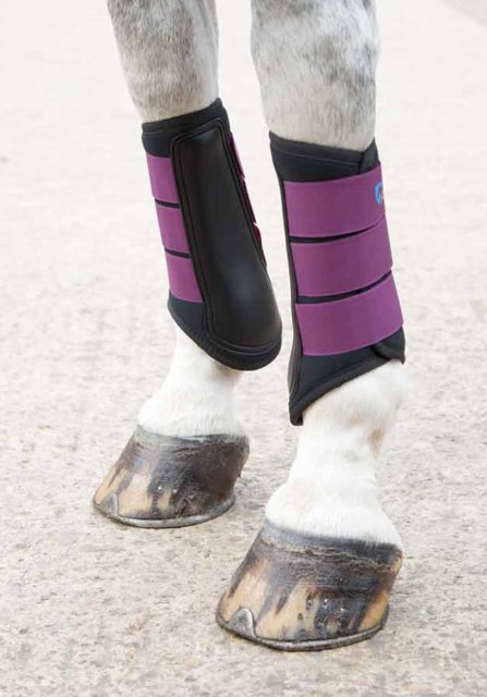 Small pony brushing on sale boots