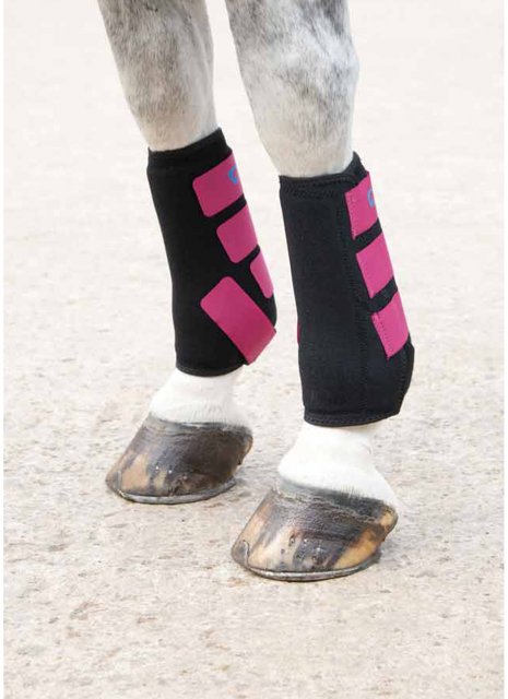 Shires Arma Fly Turnout Socks - Black
