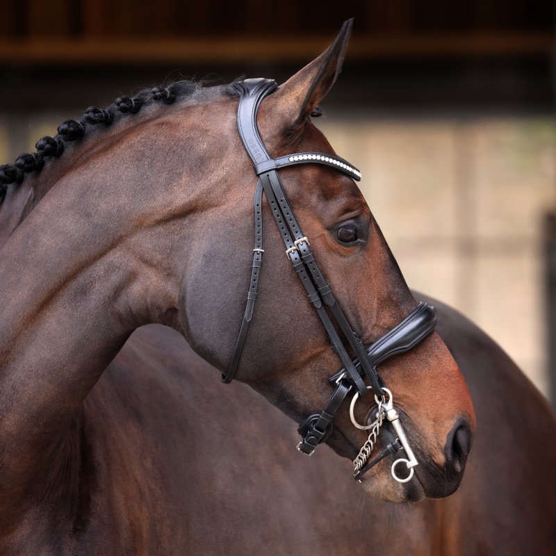 Velociti Lusso Velociti Lusso Double Bridle