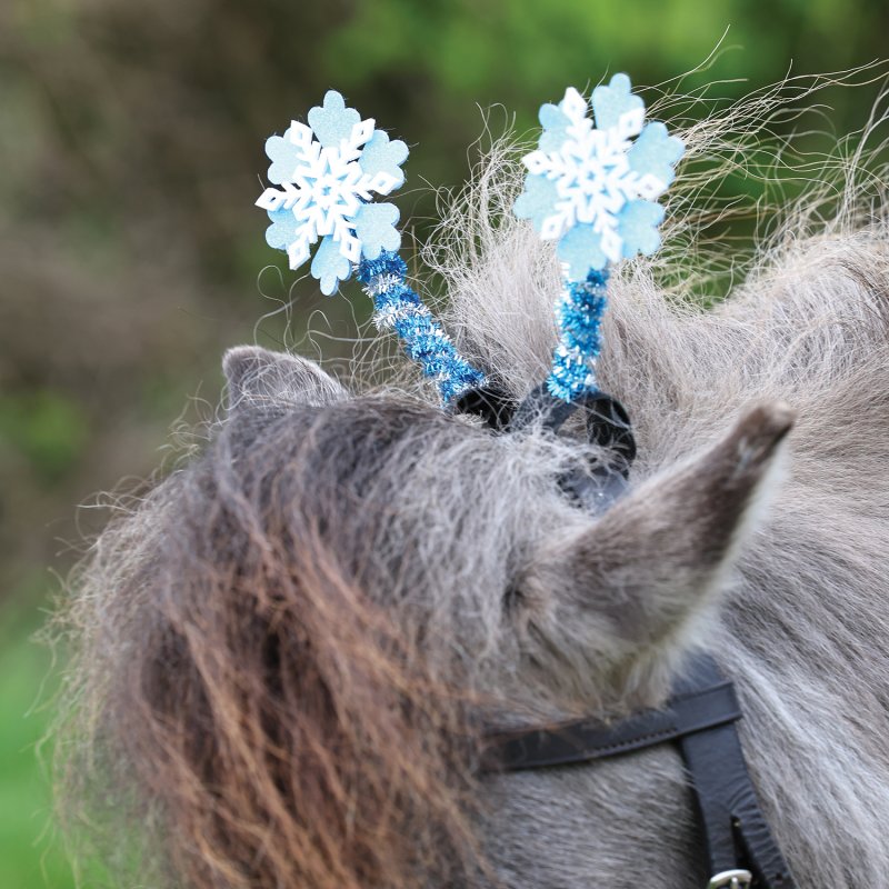 Equetech Equetech Fjord Snowflake Bridle Boppers