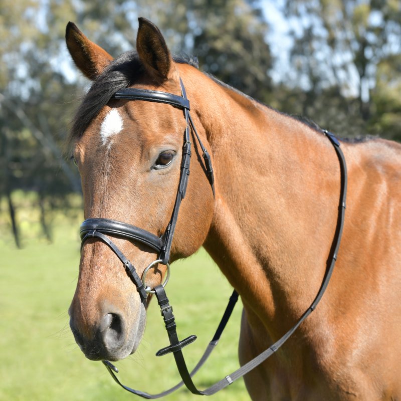 Kincade Kincade Classic Plain Raised Flash Bridle with Reins