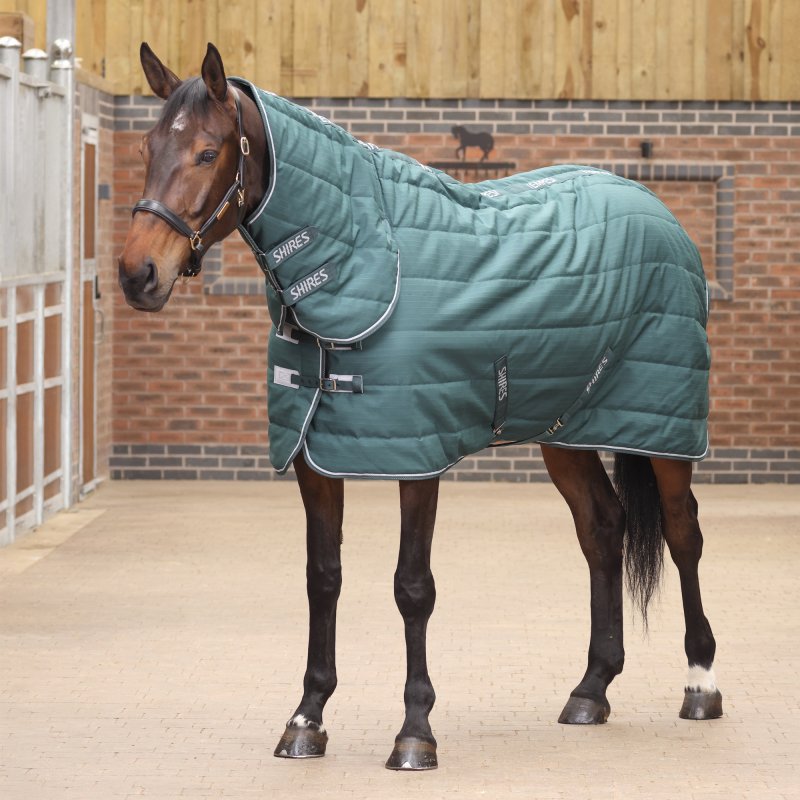 Shires Shires Tempest Original 200 Stable Rug & Neck Emerald