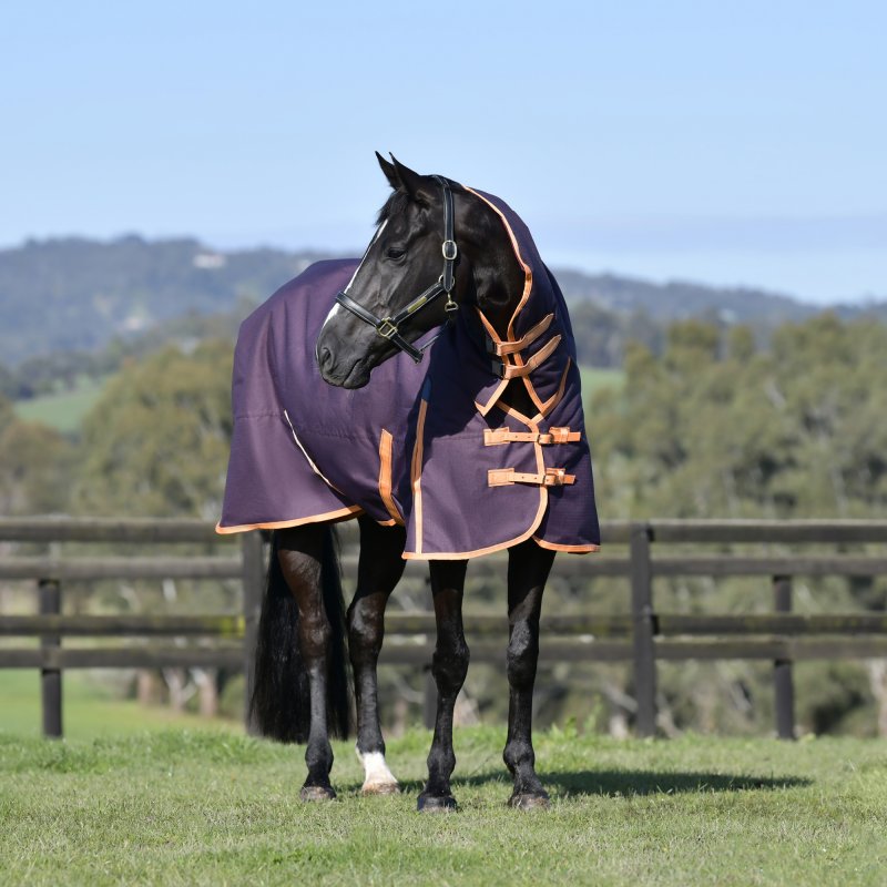 Weatherbeeta Horse Rugs Weatherbeeta Comfitec Essential Combo Heavy Turnout Rug Plum