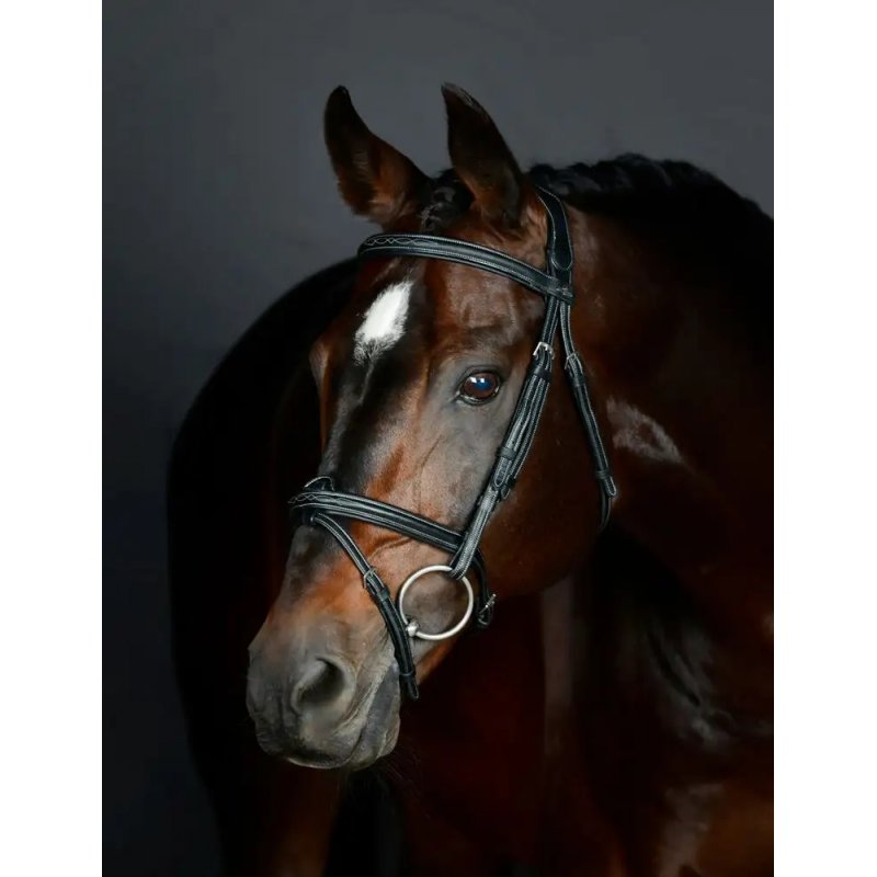 Collegiate Collegiate Comfitec Opulux Fancy Stitch Padded Hanoverian Bridle Black