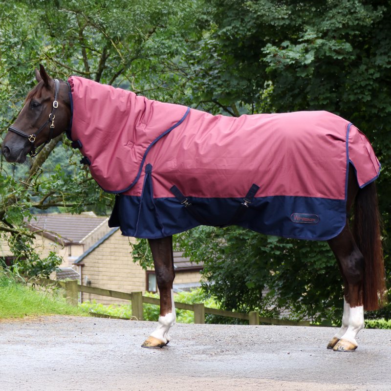 John Whitaker International John Whitaker Larkspur 300gm Combo Turnout Rug Burgundy