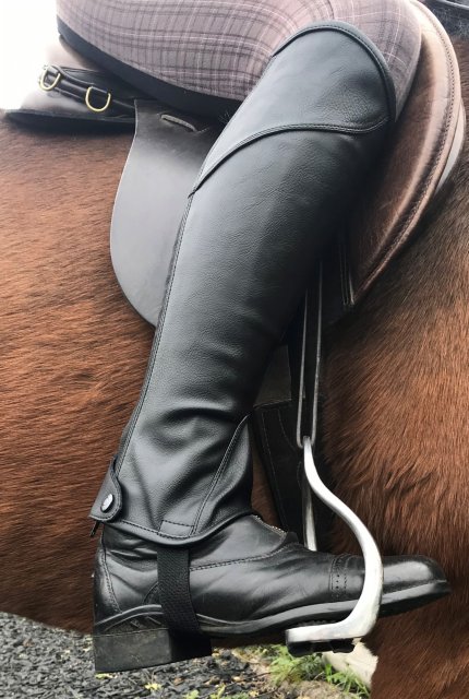 Paddock boots clearance with half chaps