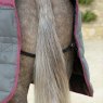 Weatherbeeta Horse Rugs WeatherBeeta ComFiTec PP Channel Quilt II Detach a Neck Medium Stable Rug