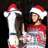 Equetech Equetech Santa Horse Hat