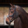 Velociti Lusso Velociti Lusso Elite Grackle Bridle