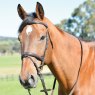 Kincade Kincade Classic Plain Raised Flash Bridle with Reins